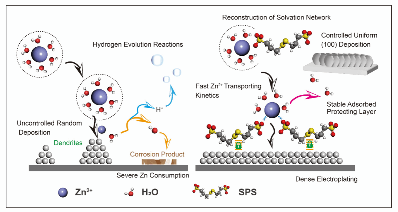 我院与克兰菲尔德大学联合培养的博士生李腾在Angewandte Chemie International Edition上发表最近研究成果